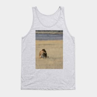 Lion in the grass. Tank Top